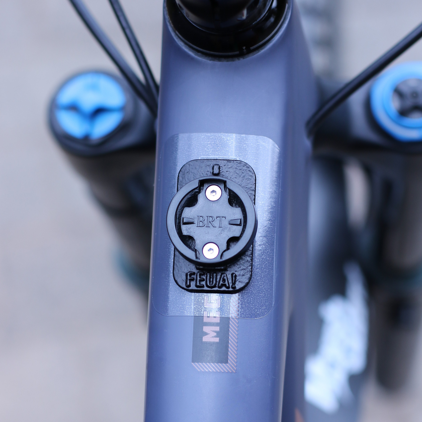 FlexBase Mount