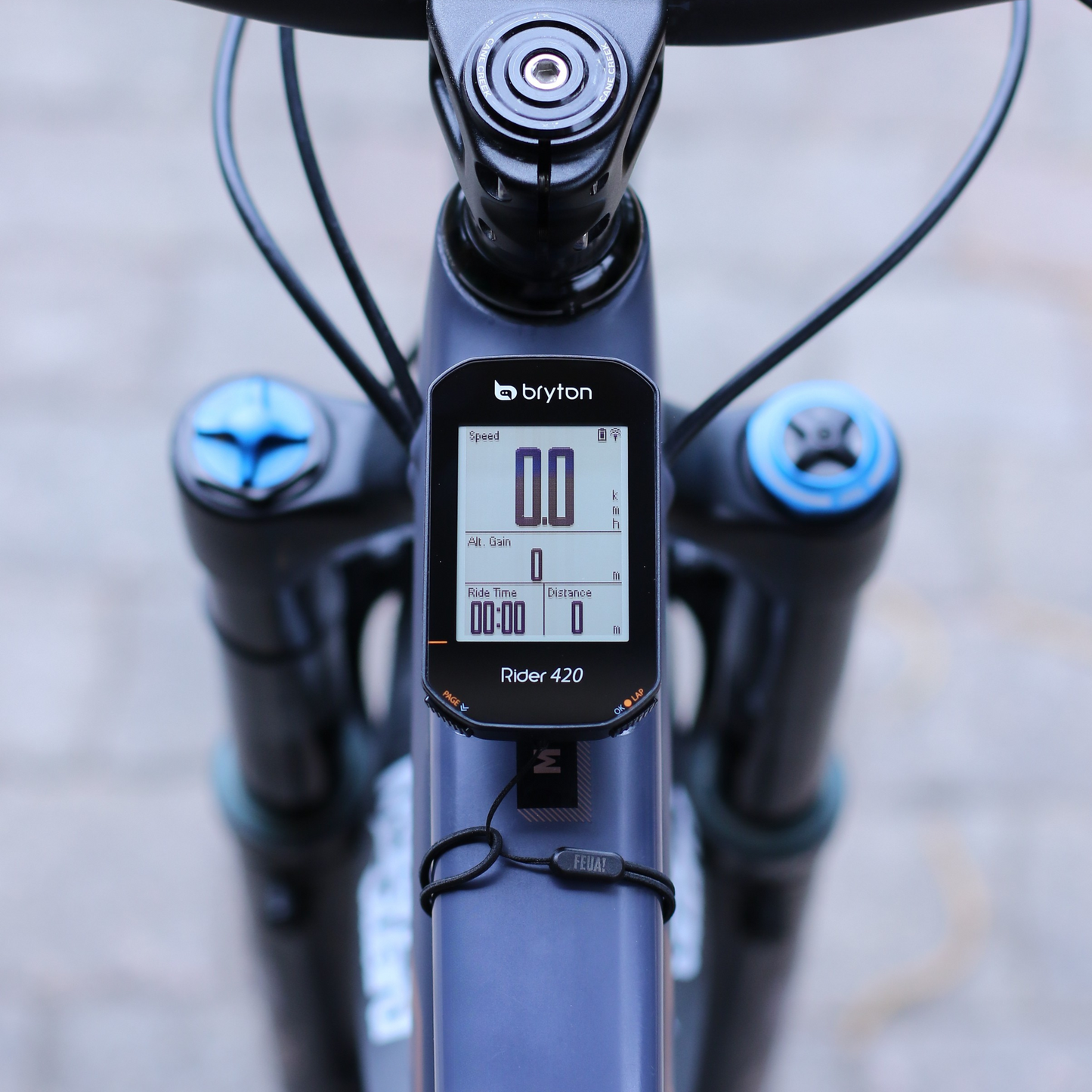 FlexBase Mount